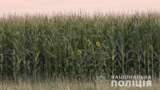 Поиски полтавского террориста Скрипника: Работу полицейских усложняют персональные навыки разыскиваемого и специфика ландшафта 03