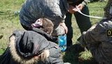 одесса драка стройка пс