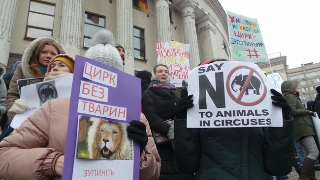 Страждання - це НЕ смішно! У Києві протестували проти використання тварин у цирку 11