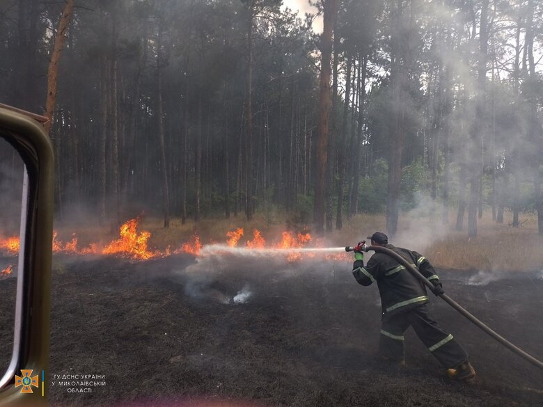 Окупанти демілітаризували села та ліси на Миколаївщині, вогнеборці гасили три пожежі, - Кім 02