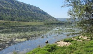 Річка Дністер низький рівень води ситуація