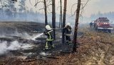 Сім із восьми основних осередків займання на Луганщині ліквідовано, - ДСНС