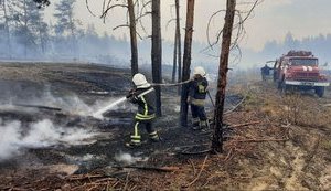 Сім із восьми основних осередків займання на Луганщині ліквідовано, - ДСНС