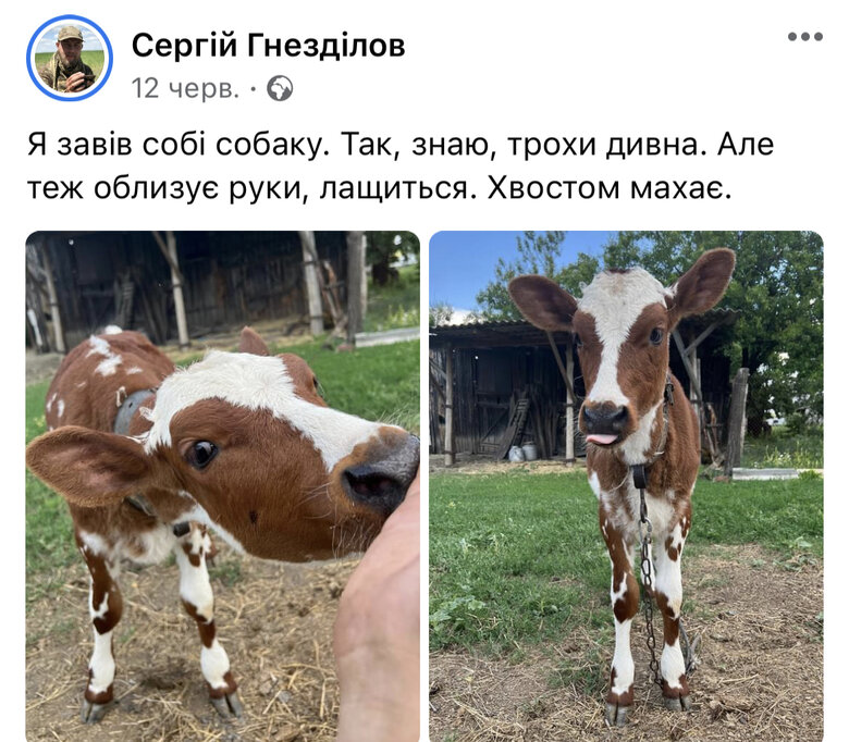 Сергій Гнезділов: Ідіть усі в армію! Тут дуже дивно, але чомусь нестрашно. Страшніше, коли виїжджаєш в якесь місто. Думаєш: Так, зараз ракети прилетять 05