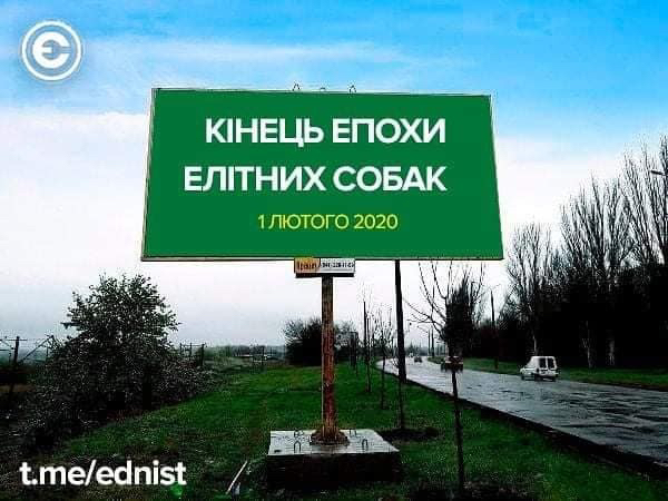 Конец эпохи элитных собак