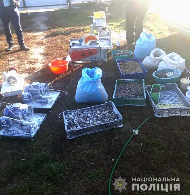 Підпільний цех з обробки бурштину викрили на Рівненщині, вилучено 100 кг каменю 04 Підпільний цех з обробки бурштину викрили на Рівненщині, вилучено 100 кг каменю 04