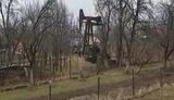 нефть на огороде