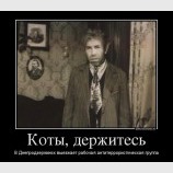 Коты, держитесь!