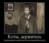 Коты, держитесь!