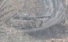 танк леопард перед боєм на курахівському напрямку