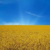Валерій Оксанюк