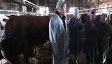 ляшко