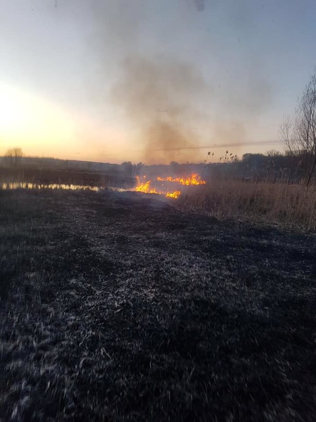 На Тернопольщине сгорел орнитологический заказник, - ГСЧС 04