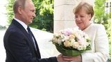 путин,меркель