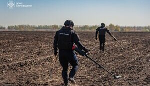 на Харківщині сапери розмінували понад 720 га земель