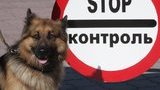 Кабмин внес в Раду законопроект об уголовной ответственности за контрабанду