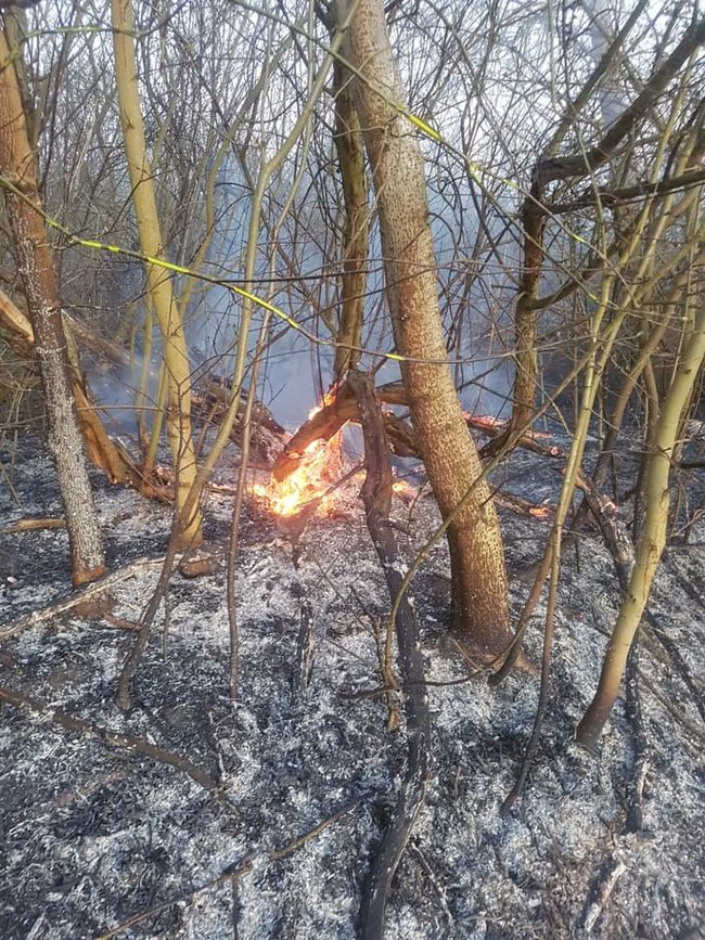 На Тернопільщині згорів орнітологічний заказник, - ДСНС 04