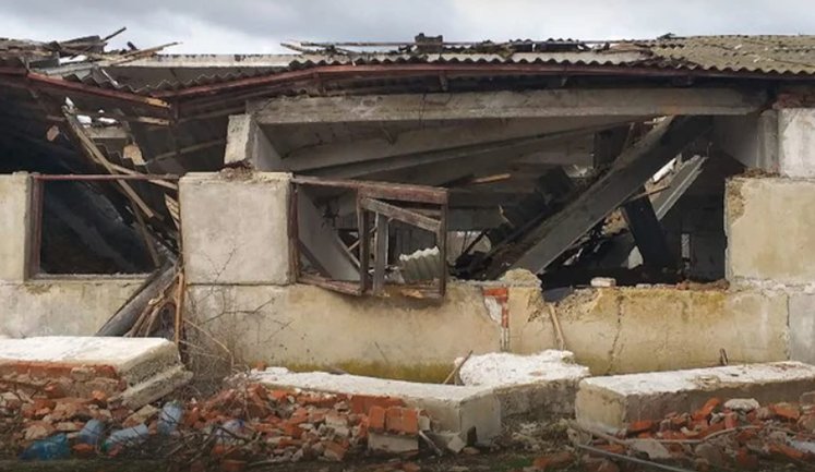 Россияне атаковали птицефабрику и ферму на Черниговщине: погибли 20 тысяч птиц и 50 свиней