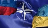 Чем скорее НАТО предоставит Украине ПДЧ, тем скорее Россия прекратит давление, - Госдеп США