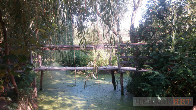 Тихі канали, швидка річка і дунайський оселедець - весна і осінь у Вилковому 13 Тихі канали, швидка річка і дунайський оселедець - весна і осінь у Вилковому 13