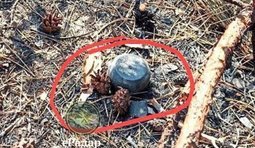 Російські міни Пряник окупанти розкидають