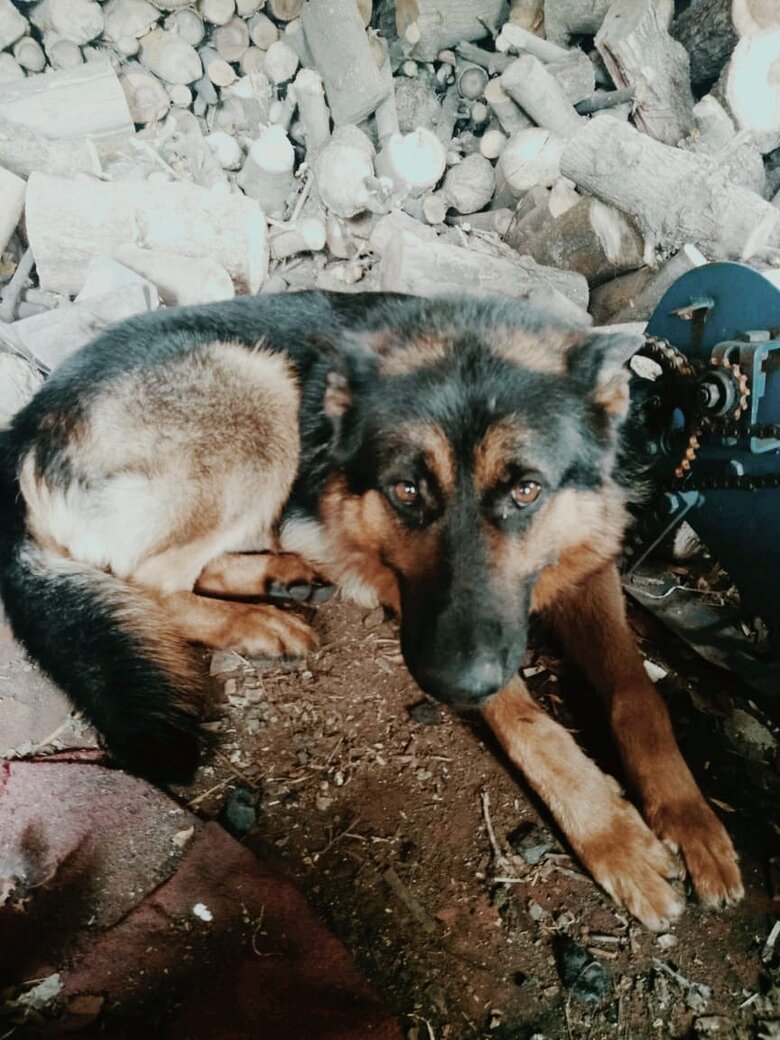 Антон Даниленко: Росіяни просто працювали по графіку. О десятій годині бабах, і починається. Декілька десятків снарядів. Могло іти дві людини і по них випускали 6-7 ракет Граду 05