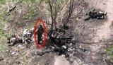 куча оккупантов под деревом