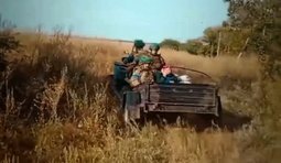Прикордонники евакуювали ліиню жінку із сірої зони