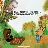 Причина всех бед
