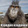Сергей Васильевич #259240
