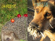 Скрепы, говорите?..