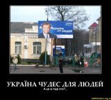 Страна чудес