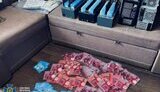 СБУ викрила ботоферми на Житомирщині та у Дніпрі
