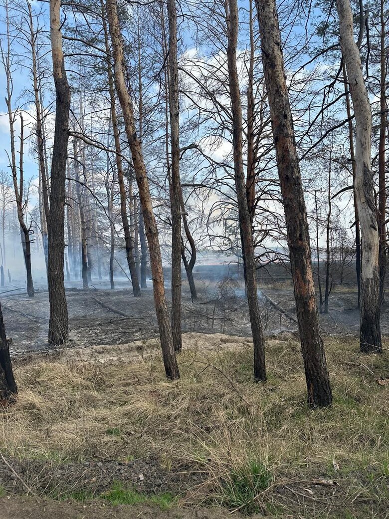 Донецкая область