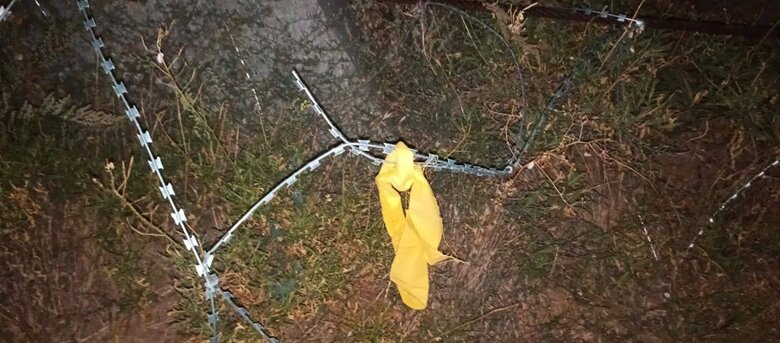 Жовті стрічки розвісили на зубах дракона біля окупованого Джанкоя, - активісти 02