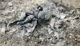 нікопольщина