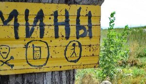 Мирный житель подорвался на мине на Луганщине, - СММ ОБСЕ