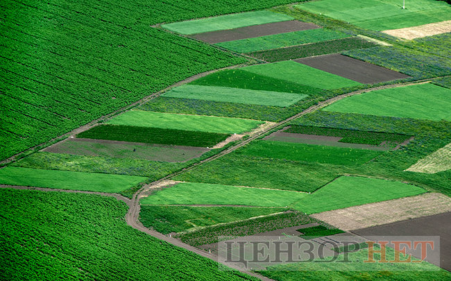 Цензор.НЕТ Зображення