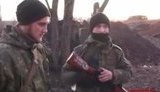 бойцы