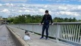 "Мінеру" моста Метро повідомлено про підозру, - прокуратура
