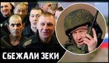 зеки,окупанти