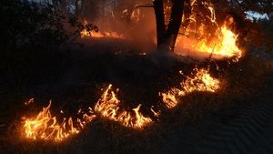 Троє співробітників ДСНС фальсифікували звітність про гасіння пожеж на Луганщині, - ДБР