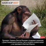 Плагиат!