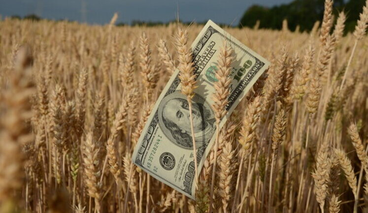 Poland banned import of grain and other foodstuffs from Ukraine