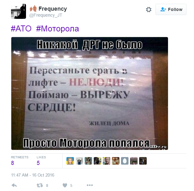 днр