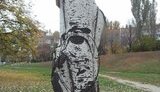 В Донецке на тополе проявился нерукотворный лик Януковича, - блогер. ФОТО
