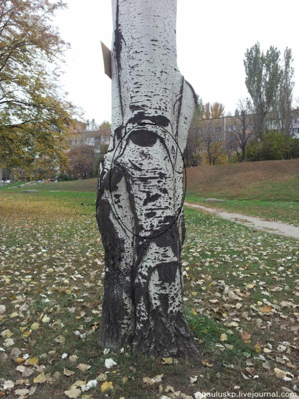 Цензор.НЕТ Изображение