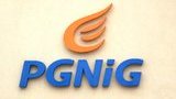 pgnig
