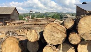 Суд избрал меру пресечения полицейским, которые подозреваются в