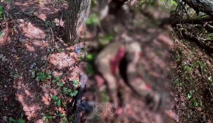 Ukrainian sabotage and reconnaissance group took out three shelters and 13 occupiers in Sumy direction. VIDEO